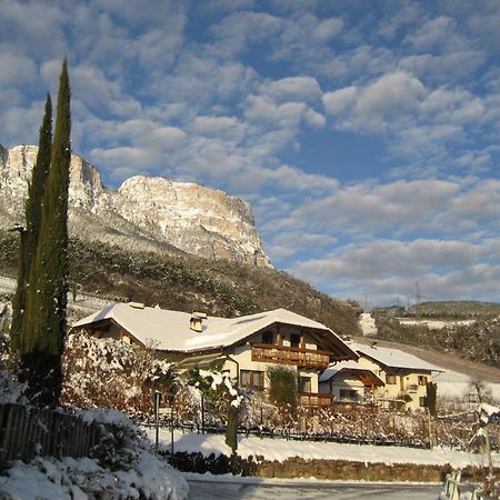 Gfillhof Ferienwohnung 3 Appiano Sulla Strada Del Vino Bagian luar foto