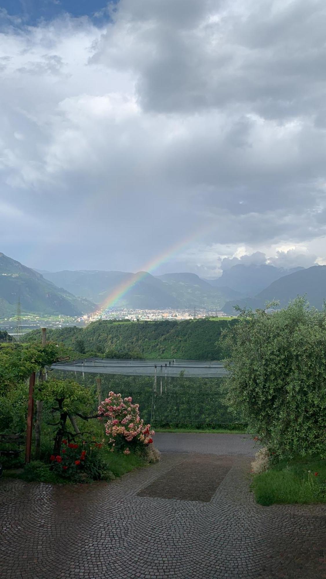 Gfillhof Ferienwohnung 3 Appiano Sulla Strada Del Vino Bagian luar foto