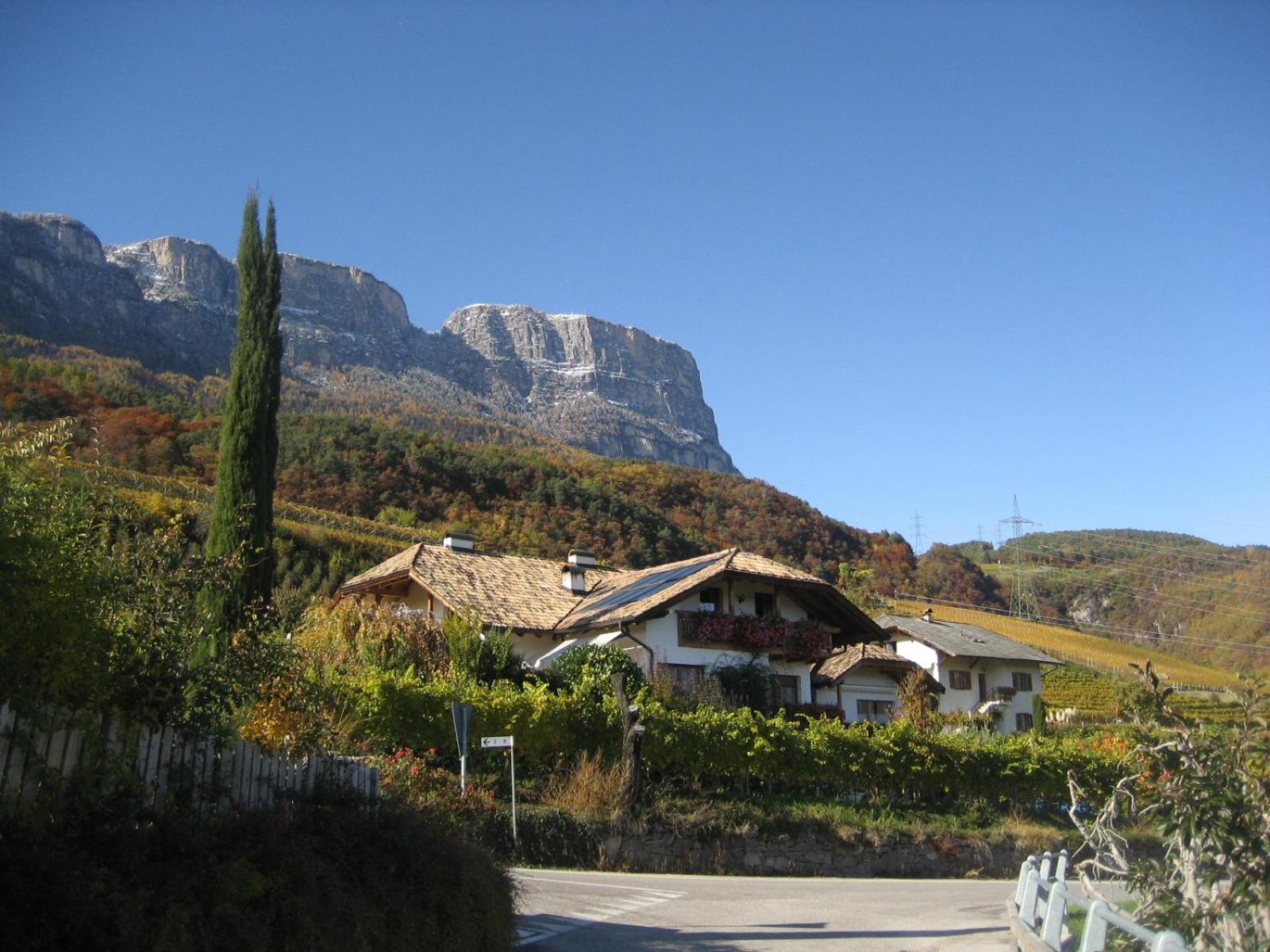 Gfillhof Ferienwohnung 3 Appiano Sulla Strada Del Vino Bagian luar foto