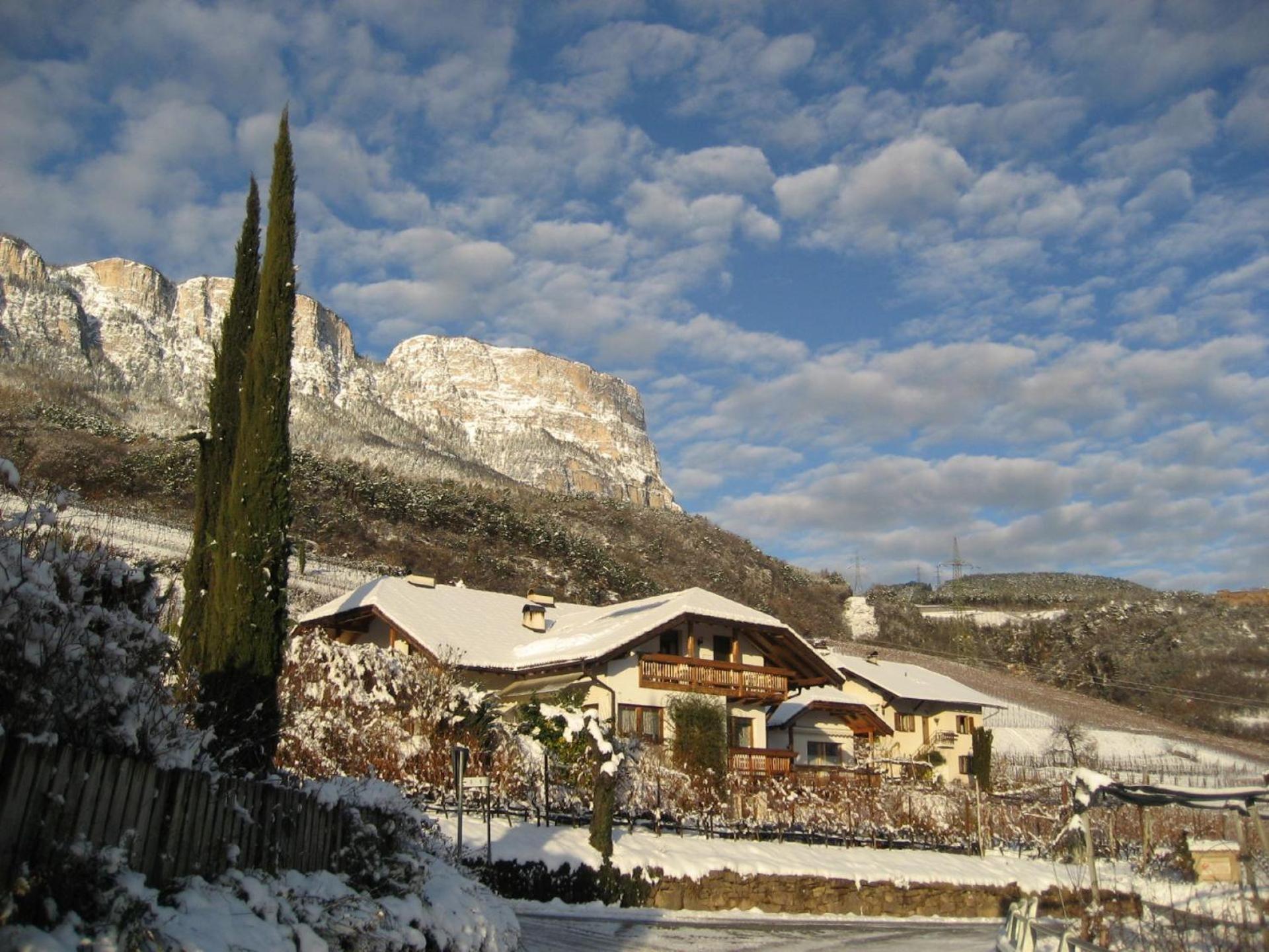 Gfillhof Ferienwohnung 3 Appiano Sulla Strada Del Vino Bagian luar foto