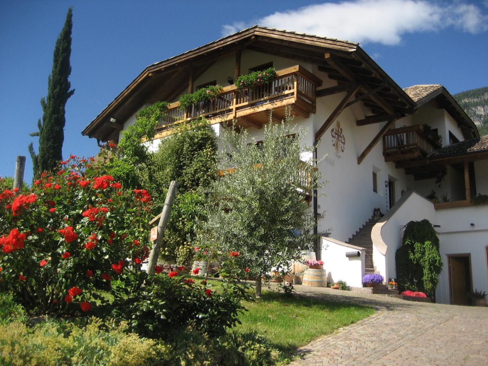 Gfillhof Ferienwohnung 3 Appiano Sulla Strada Del Vino Bagian luar foto
