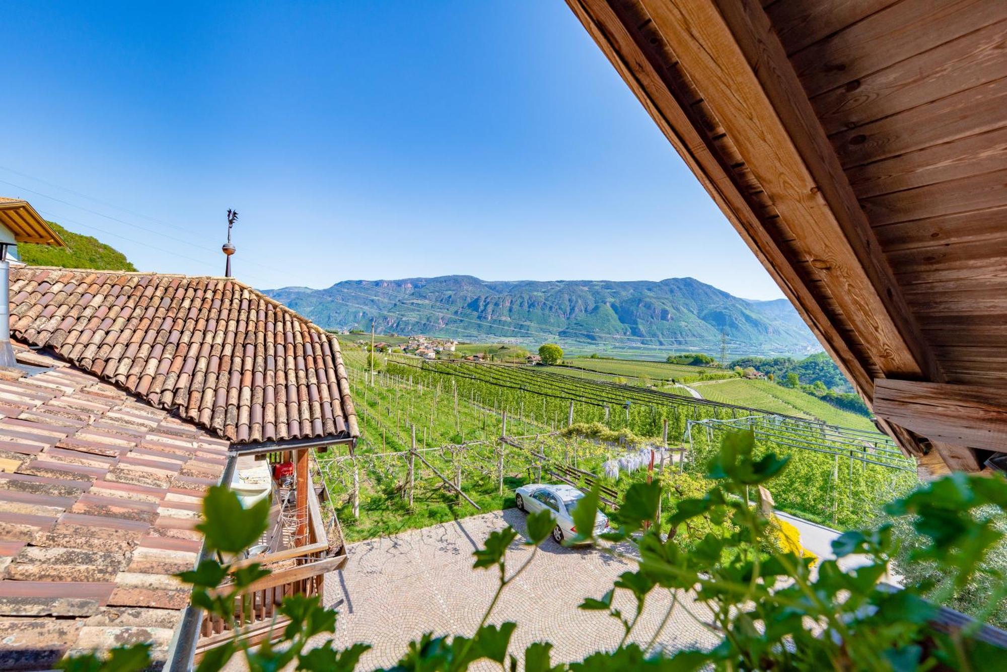 Gfillhof Ferienwohnung 3 Appiano Sulla Strada Del Vino Bagian luar foto