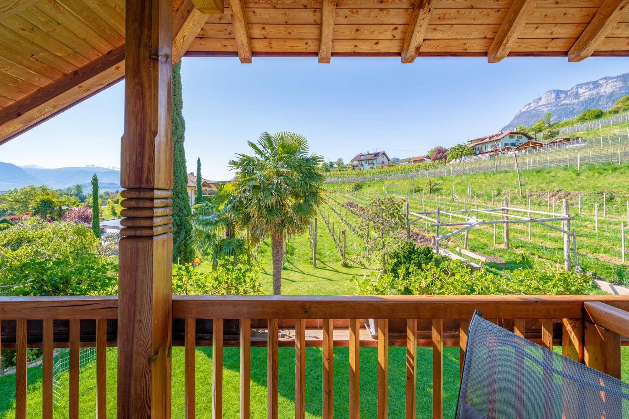 Gfillhof Ferienwohnung 3 Appiano Sulla Strada Del Vino Bagian luar foto
