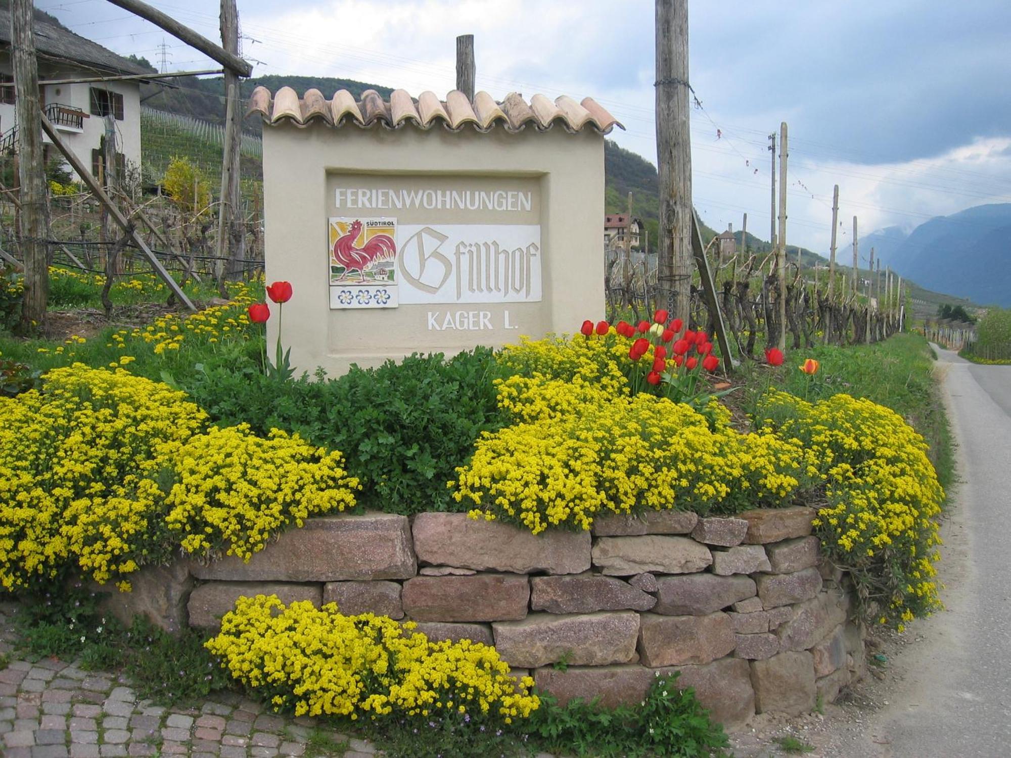 Gfillhof Ferienwohnung 3 Appiano Sulla Strada Del Vino Bagian luar foto